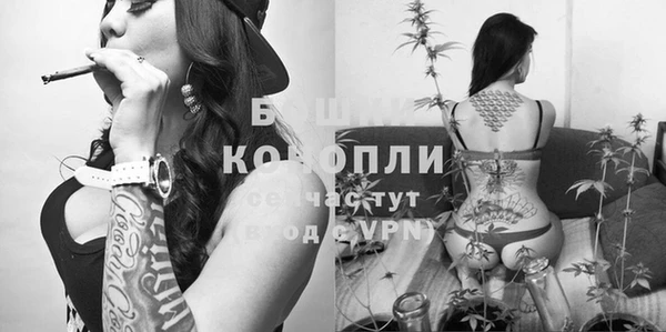 гидропоника Болохово