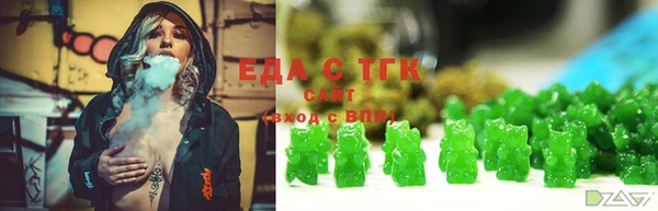 хмурый Няндома