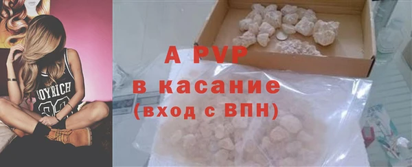 хмурый Няндома