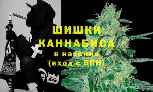крисы Осинники