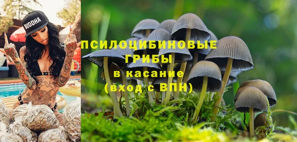 хмурый Няндома