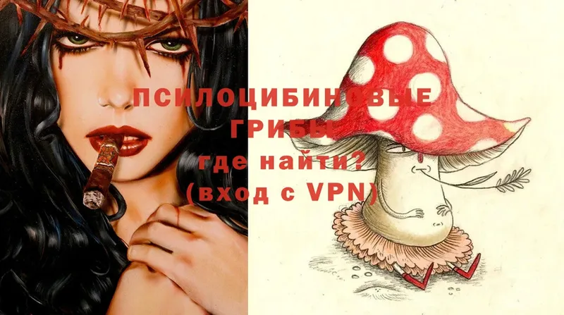 Галлюциногенные грибы Psilocybine cubensis  Кумертау 