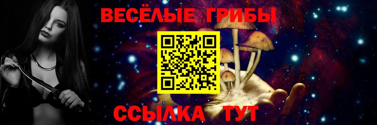 Кумертау  Псилоцибиновые грибы мухоморы  Вход с VPN 